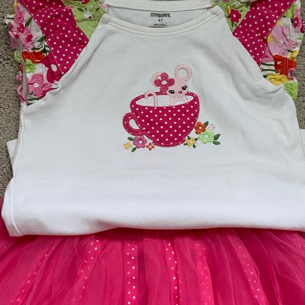 3pcs Gymboree Girls Toddler Outfit 3/4